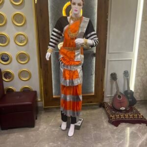 Bharatnatyam Dress Budget Silk