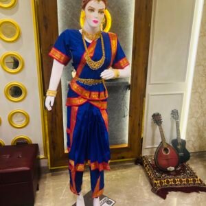 Bharatnatyam Dress Budget Silk