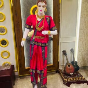 Bharatnatyam Dress Budget Silk